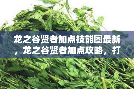 龙之谷贤者加点技能图最新,龙之谷贤者加点攻略,打造最强辅助职业 龙之谷贤者加点技能图最新,龙之谷贤者加点攻略,打造最强辅助职业