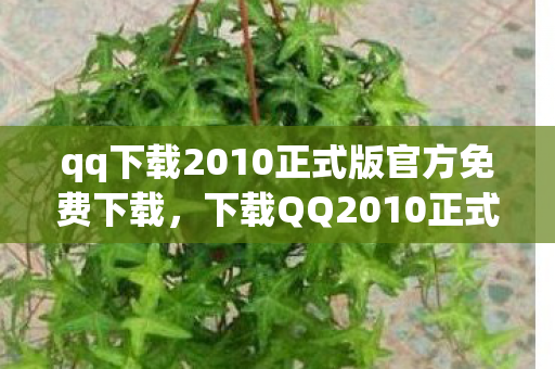 qq下载2010正式版官方免费下载,下载QQ2010正式版,重温经典,回忆杀! qq下载2010正式版官方免费下载,下载QQ2010正式版,重温经典,回忆杀!