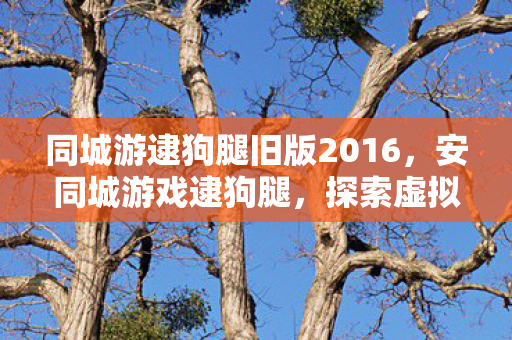 同城游逮狗腿旧版2016,安同城游戏逮狗腿,探索虚拟世界的无限可能 同城游逮狗腿旧版2016,安同城游戏逮狗腿,探索虚拟世界的无限可能