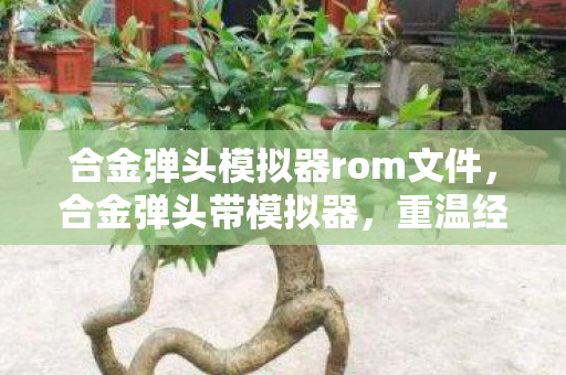 合金弹头模拟器rom文件,合金弹头带模拟器,重温经典,畅享无限 合金弹头模拟器rom文件,合金弹头带模拟器,重温经典,畅享无限
