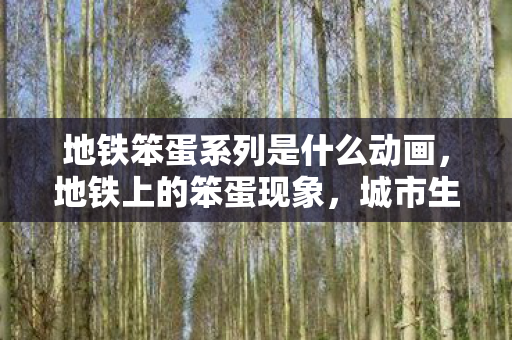 地铁笨蛋系列是什么动画，地铁上的笨蛋现象，城市生活的小确幸与尴尬瞬间