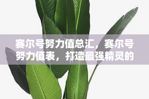 赛尔号努力值总汇,赛尔号努力值表,打造最强精灵的秘诀 赛尔号努力值总汇,赛尔号努力值表,打造最强精灵的秘诀