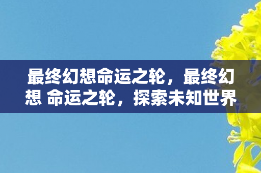 最终幻想命运之轮,最终幻想 命运之轮,探索未知世界的奇幻之旅 最终幻想命运之轮,最终幻想 命运之轮,探索未知世界的奇幻之旅