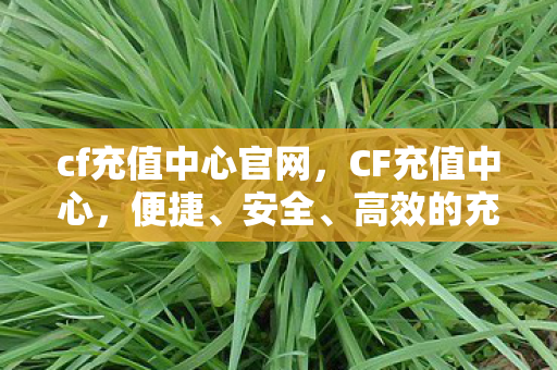 cf充值中心官网，CF充值中心，便捷、安全、高效的充值体验