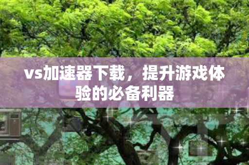 vs加速器下载，提升游戏体验的必备利器