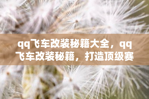 qq飞车改装秘籍大全，qq飞车改装秘籍，打造顶级赛车的关键步骤