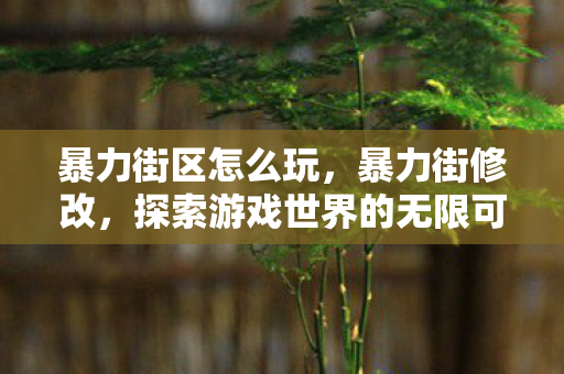 暴力街区怎么玩，暴力街修改，探索游戏世界的无限可能