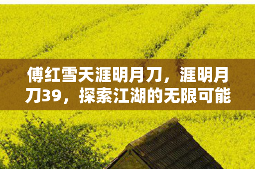 傅红雪天涯明月刀,涯明月刀39,探索江湖的无限可能 傅红雪天涯明月刀,涯明月刀39,探索江湖的无限可能