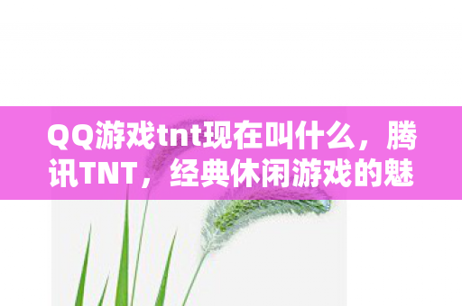 QQ游戏tnt现在叫什么,腾讯TNT,经典休闲游戏的魅力与未来展望 QQ游戏tnt现在叫什么,腾讯TNT,经典休闲游戏的魅力与未来展望