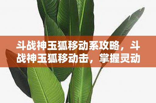 掌握灵动飘逸的战斗艺术图片