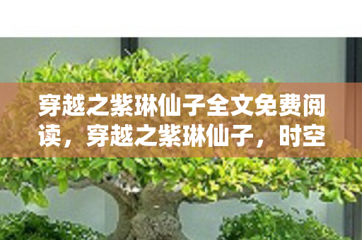 穿越之紫琳仙子全文免费阅读,穿越之紫琳仙子,时空之旅的奇幻奇缘 穿越之紫琳仙子全文免费阅读,穿越之紫琳仙子,时空之旅的奇幻奇缘