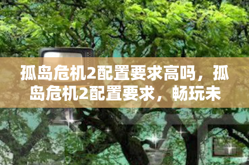 孤岛危机2配置要求高吗,孤岛危机2配置要求,畅玩未来战争场景 孤岛危机2配置要求高吗,孤岛危机2配置要求,畅玩未来战争场景