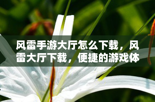 便捷的游戏体验与安全保障图片