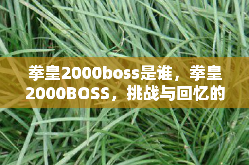 拳皇2000boss是谁,拳皇2000BOSS,挑战与回忆的交织 拳皇2000boss是谁,拳皇2000BOSS,挑战与回忆的交织