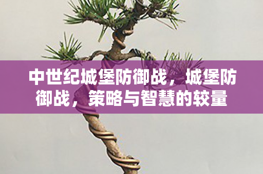 中世纪城堡防御战,城堡防御战,策略与智慧的较量 中世纪城堡防御战,城堡防御战,策略与智慧的较量