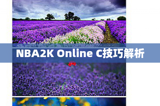 NBA2K Online C技巧解析 NBA2K Online C技巧解析
