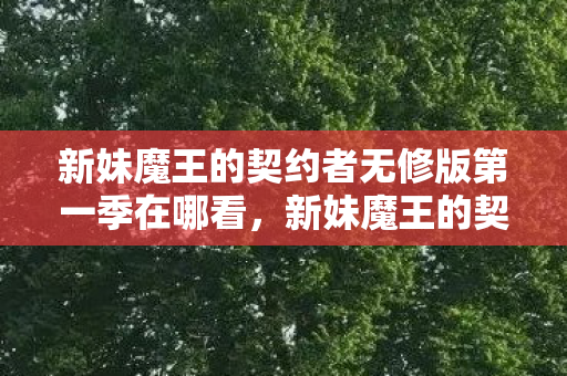 新妹魔王的契约者无修版第一季在哪看,新妹魔王的契约者无修版,一场视觉盛宴的独家解析 新妹魔王的契约者无修版第一季在哪看,新妹魔王的契约者无修版,一场视觉盛宴的独家解析