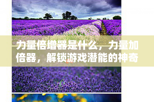 力量倍增器是什么，力量加倍器，解锁游戏潜能的神奇工具