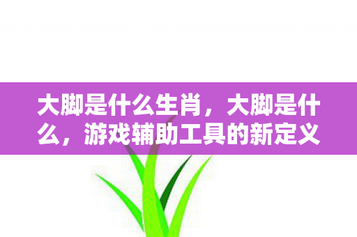 大脚是什么生肖,大脚是什么,游戏辅助工具的新定义 大脚是什么生肖,大脚是什么,游戏辅助工具的新定义