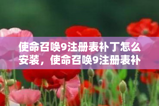 使命召唤9注册表补丁怎么安装图片
