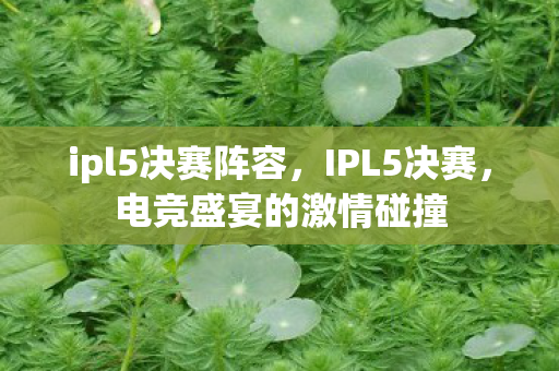 ipl5决赛阵容，IPL5决赛，电竞盛宴的激情碰撞