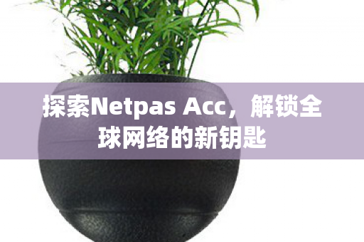 探索Netpas Acc,解锁全球网络的新钥匙 探索Netpas Acc,解锁全球网络的新钥匙