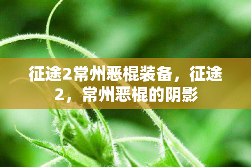 征途2常州恶棍装备,征途2,常州恶棍的阴影 征途2常州恶棍装备,征途2,常州恶棍的阴影