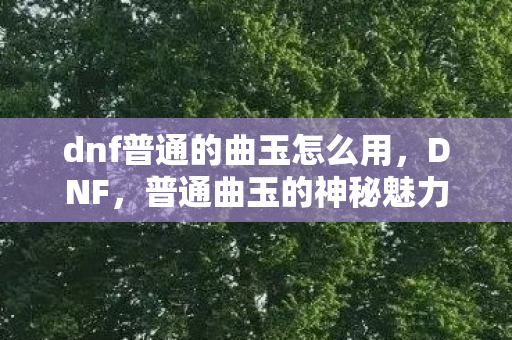 dnf普通的曲玉怎么用,DNF,普通曲玉的神秘魅力与游戏内的独特作用 dnf普通的曲玉怎么用,DNF,普通曲玉的神秘魅力与游戏内的独特作用