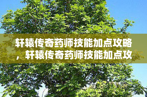 轩辕传奇药师技能加点攻略,轩辕传奇药师技能加点攻略 轩辕传奇药师技能加点攻略,轩辕传奇药师技能加点攻略
