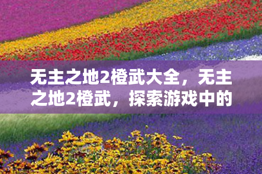 无主之地2橙武大全,无主之地2橙武,探索游戏中的传奇武器 无主之地2橙武大全,无主之地2橙武,探索游戏中的传奇武器