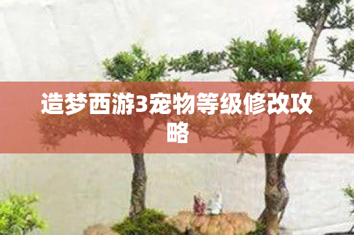 造梦西游3宠物等级修改攻略 造梦西游3宠物等级修改攻略