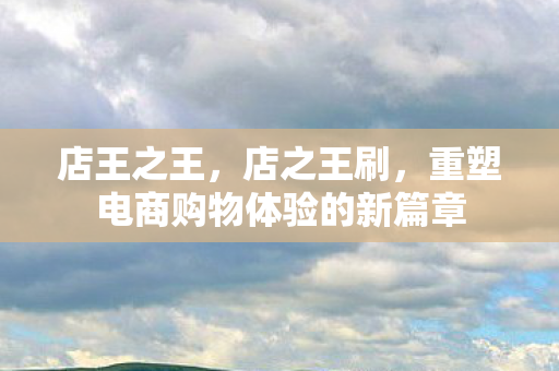 店王之王,店之王刷,重塑电商购物体验的新篇章 店王之王,店之王刷,重塑电商购物体验的新篇章