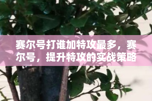 赛尔号打谁加特攻最多，赛尔号，提升特攻的实战策略