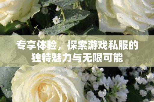 专享体验,探索游戏私服的独特魅力与无限可能 专享体验,探索游戏私服的独特魅力与无限可能
