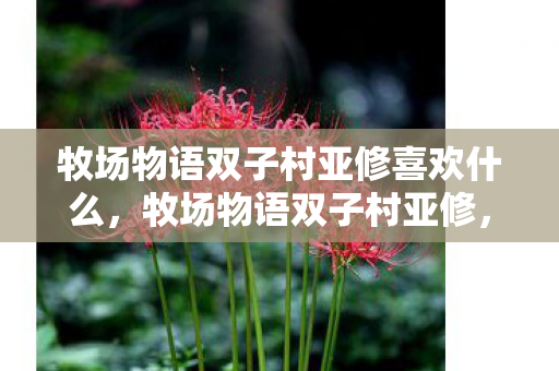牧场物语双子村亚修喜欢什么,牧场物语双子村亚修,温馨田园中的友情与成长 牧场物语双子村亚修喜欢什么,牧场物语双子村亚修,温馨田园中的友情与成长