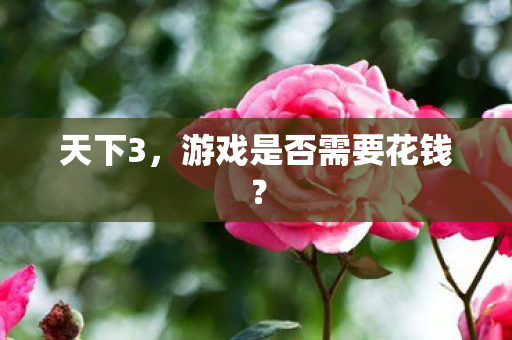 天下3,游戏是否需要花钱? 天下3,游戏是否需要花钱?