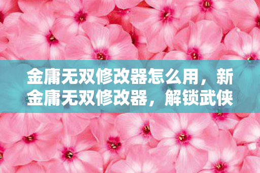金庸无双修改器怎么用,新金庸无双修改器,解锁武侠世界的无限可能 金庸无双修改器怎么用,新金庸无双修改器,解锁武侠世界的无限可能
