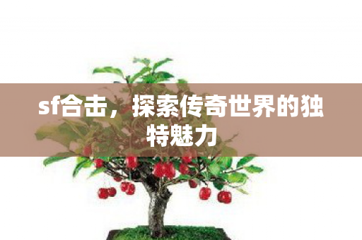 sf合击,探索传奇世界的独特魅力 sf合击,探索传奇世界的独特魅力