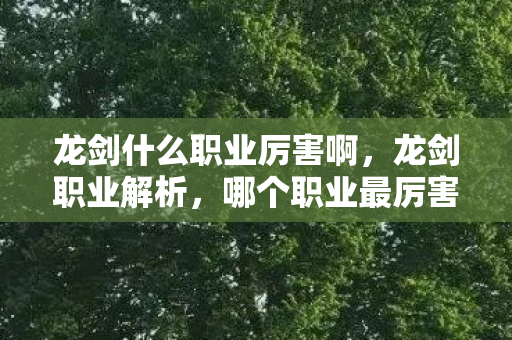 龙剑什么职业厉害啊图片