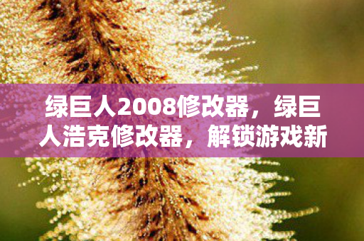 绿巨人2008修改器,绿巨人浩克修改器,解锁游戏新体验,合法合规的娱乐工具 绿巨人2008修改器,绿巨人浩克修改器,解锁游戏新体验,合法合规的娱乐工具