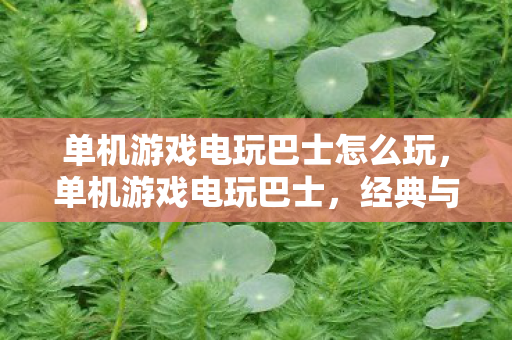 单机游戏电玩巴士怎么玩图片