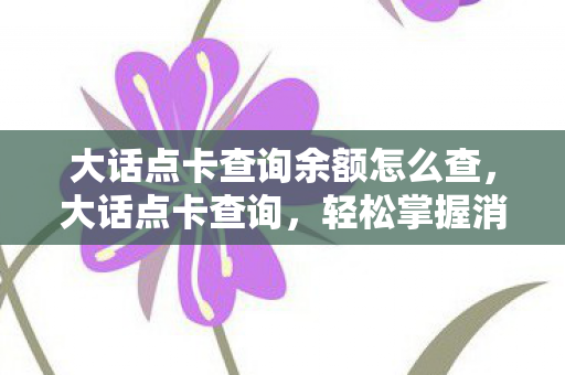 大话点卡查询余额怎么查,大话点卡查询,轻松掌握消费明细,避免意外扣费 大话点卡查询余额怎么查,大话点卡查询,轻松掌握消费明细,避免意外扣费