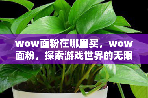wow面粉在哪里买,wow面粉,探索游戏世界的无限可能 wow面粉在哪里买,wow面粉,探索游戏世界的无限可能