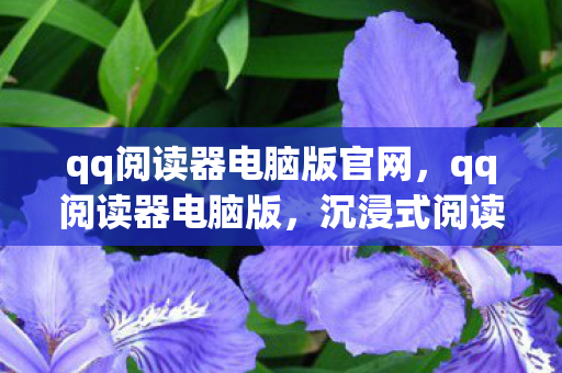 qq阅读器电脑版官网图片