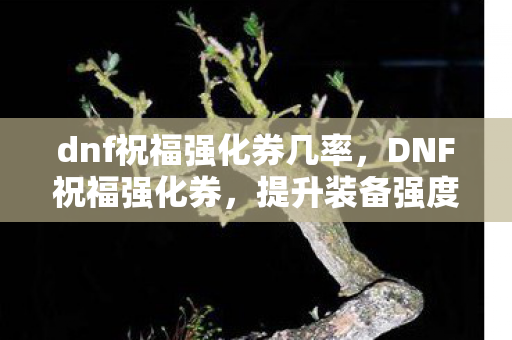 提升装备强度的神秘力量图片