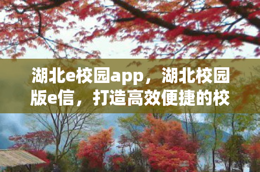打造高效便捷的校园通讯新体验图片