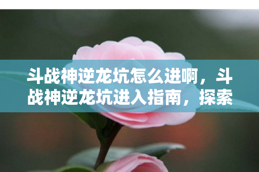 探索神秘领域的步骤详解图片