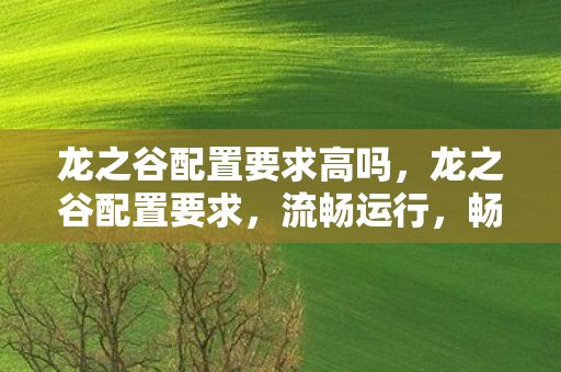 龙之谷配置要求高吗,龙之谷配置要求,流畅运行,畅享游戏乐趣 龙之谷配置要求高吗,龙之谷配置要求,流畅运行,畅享游戏乐趣