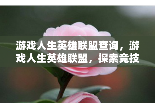 游戏人生英雄联盟查询，游戏人生英雄联盟，探索竞技舞台的无限可能