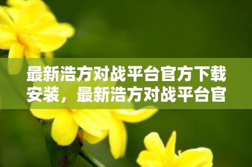 最新浩方对战平台官方下载安装图片